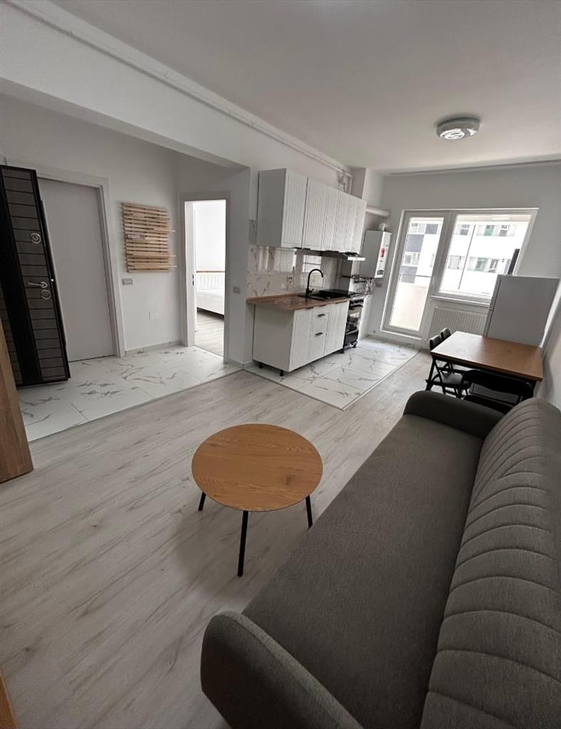 Inchiriere 2 camere Weiner Palada 14